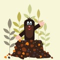 Cartoon mole . Vector illustration . Postcard .